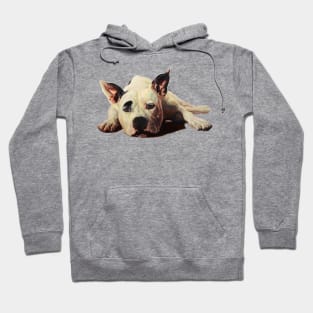 Pitbull Hoodie